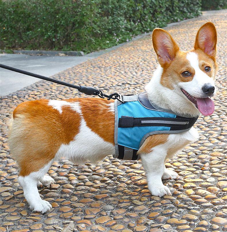 Durable Nylon Pet Dog Leash: The Perfect Companion For Walks And Adventures