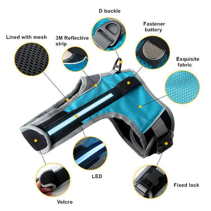 Durable Nylon Pet Dog Leash: The Perfect Companion For Walks And Adventures