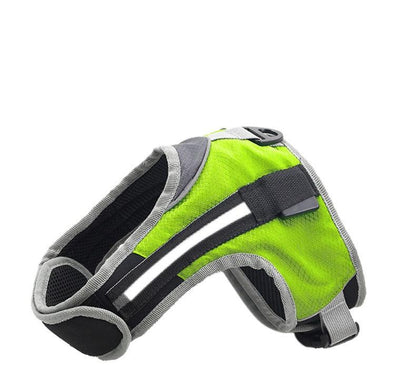 Durable Nylon Pet Dog Leash: The Perfect Companion For Walks And Adventures