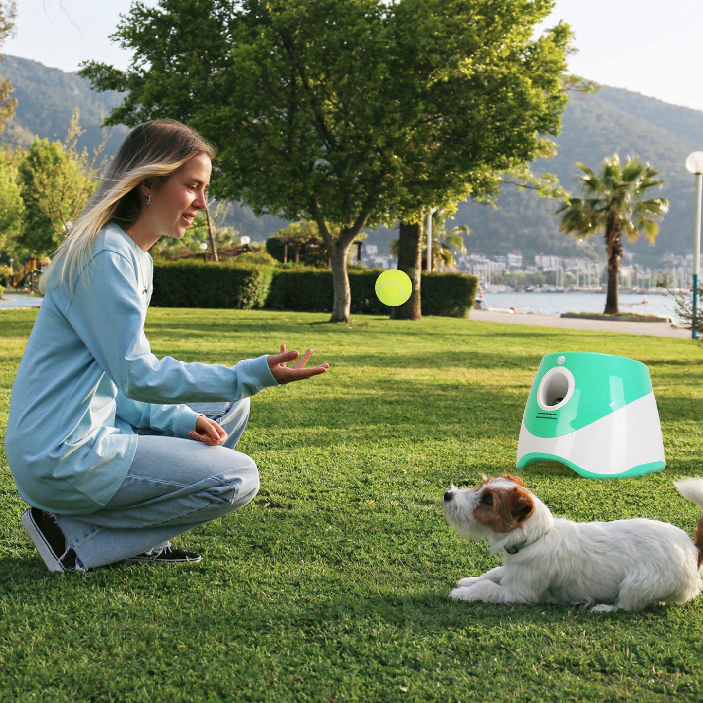 1Pc Automatic Dog Ball Launcher Included 6 Tennis Balls Dog With 3 Adjustable Launch Distance Interactive Ball Thrower Fetch Machine For Small Medium Dogs