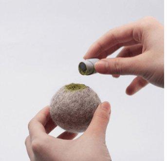 Catnip Capsule Play Set