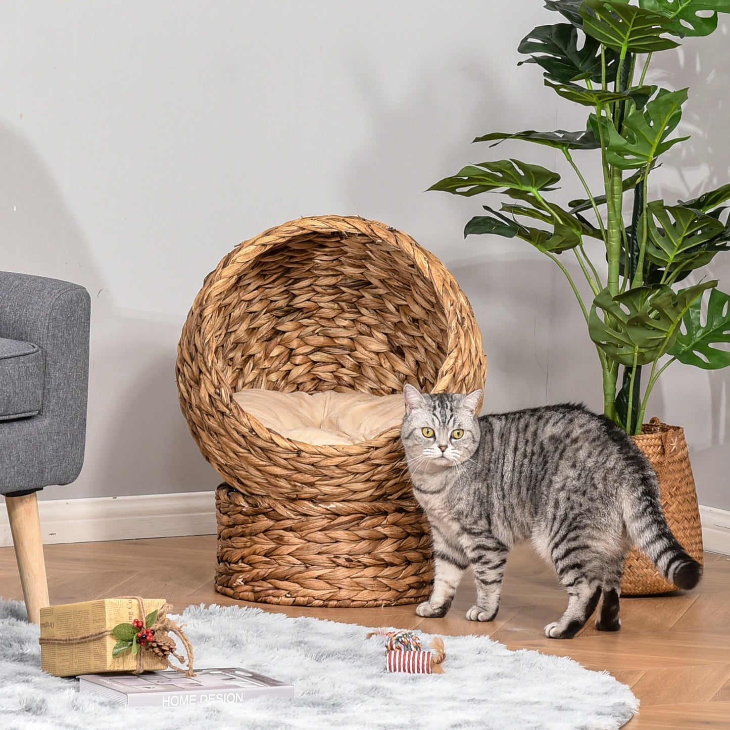 Handwoven Elevated Cat Bed with Soft Cushion & Egg Chair Shape
